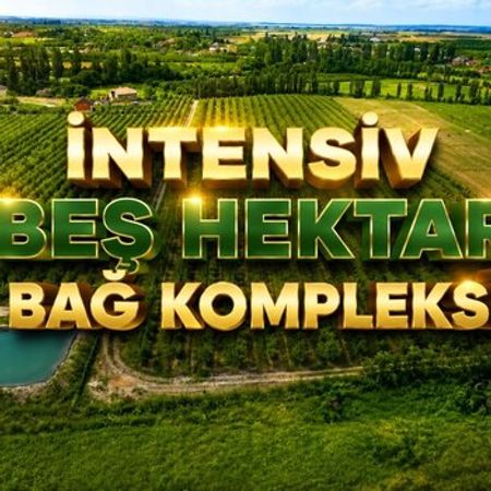 500 Sot torpaq sahəsi, Qusar r. – Qusar – ucuztap.az