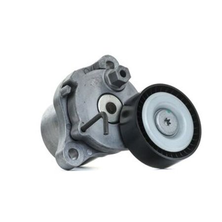 Hyundai, Kia kəmər roliki 49-2113 – Ehtiyat hissələri – ucuztap.az