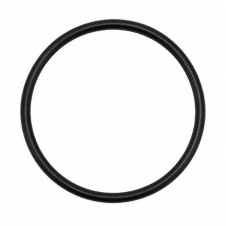 AstralPool Cantabric filter qapaq rezini Ø900 – Bakı – ucuztap.az