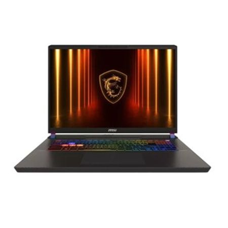 MSI Vector 17 HX AI A2XWJG-223AZ 9S7-17S372-223 – Bakı – ucuztap.az