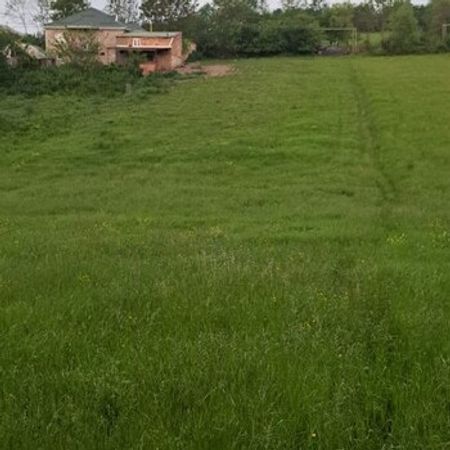 20 Sot torpaq sahəsi, Qusar r. – Torpaq – ucuztap.az