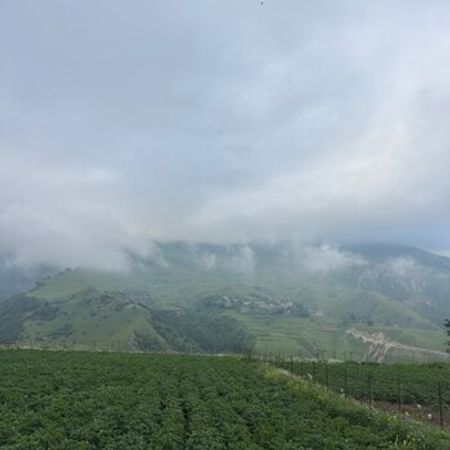 4 Sot torpaq sahəsi, Aladaş kəndi – Torpaq – ucuztap.az