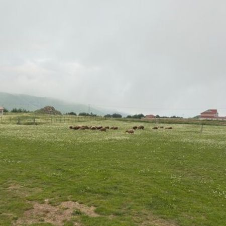 24 Sot torpaq sahəsi, Aladaş k. – Torpaq – ucuztap.az