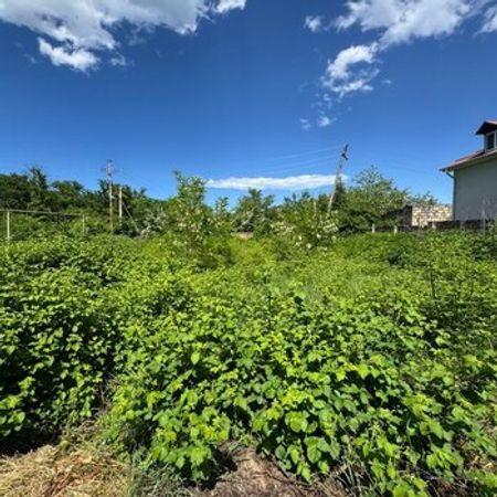 2 Sot torpaq sahəsi, Qusar ş. – Torpaq – ucuztap.az