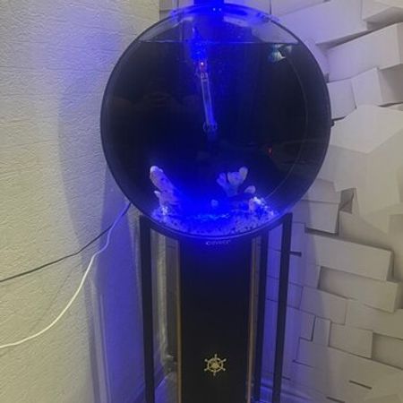 Akvarium və balıq – Akvarium – ucuztap.az