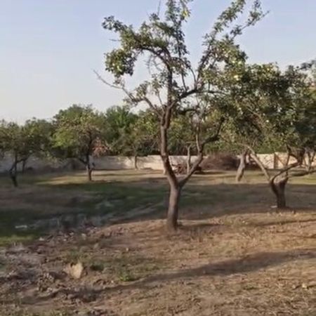 20 Sot torpaq sahəsi, Quba r. – Torpaq – ucuztap.az