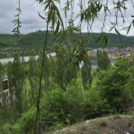 6 Sot torpaq sahəsi, Qusar r. – Qusar – ucuztap.az