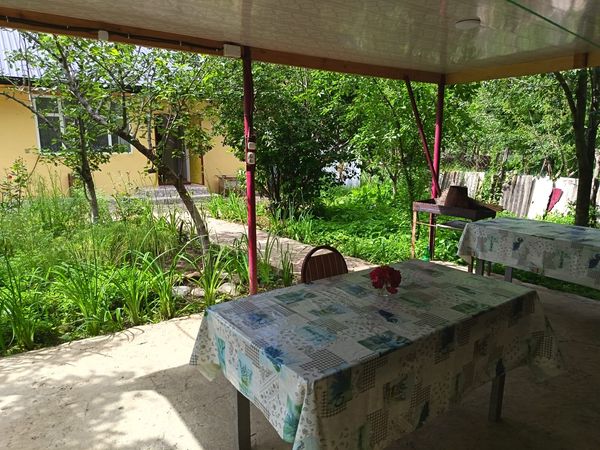 Bağ evi kirayə verilir, 50 m², Qala kəndi, Gədəbəy – Villalar, bağ evləri – ucuztap.az
