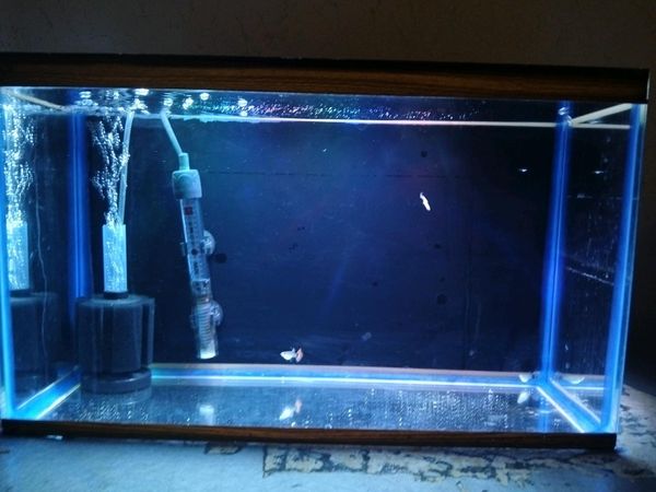 Təcili ucuz akvarium satılır – Akvarium – ucuztap.az