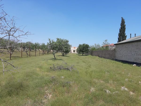Torpaq sahəsi, 16.5 sot, Tikinti təyinatlı, Çıxarışlı, SARAY, Bakı – Torpaq – ucuztap.az