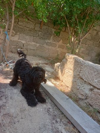 Qara rəng.baxa bilmediyimçün satıram – Bakı – ucuztap.az