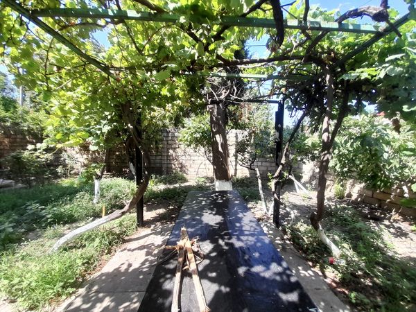 Bağ evi kirayə verilir, 220 m², genclik metrosu, Bakı – Bakı – ucuztap.az