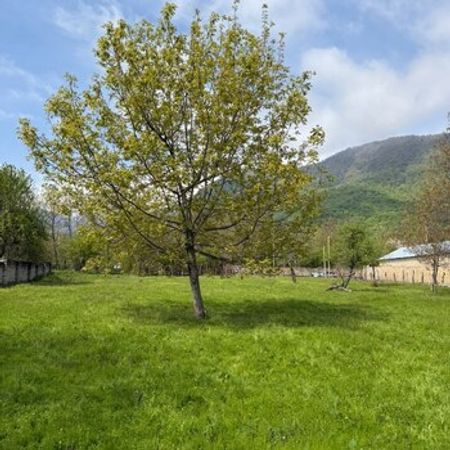 4 Sot torpaq sahəsi, Qəbələ r. – Torpaq – Qəbələ – ucuztap.az