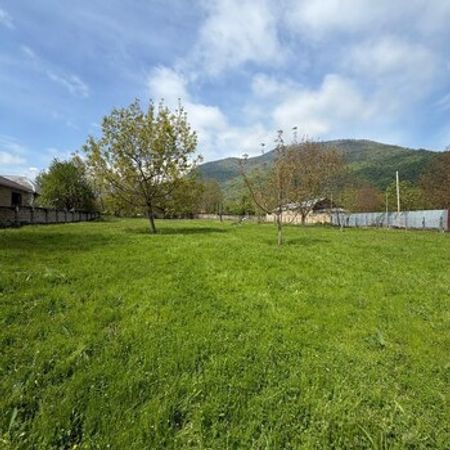 31 Sot torpaq sahəsi, Bum qəs. – Torpaq – Qəbələ – ucuztap.az