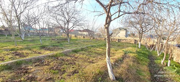Torpaq sahəsi, 3 sot, Tikinti təyinatlı, Çıxarışlı, Abseronr, hokumeli q, M.E.Sabir kuc 68, Bakı – Bakı – ucuztap.az