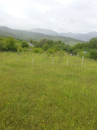 Torpaq sahəsi, 50 sot, Tikinti təyinatlı, Kupçalı, İsmayıllı – İsmayıllı – ucuztap.az