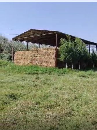 Obyekt, 1000 m², Yeni Uluxanlı kəndi, Salyan – Salyan – ucuztap.az