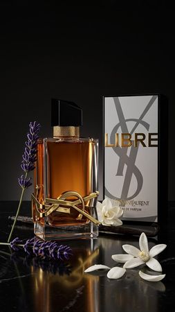 Ysl libre – Sağlamlıq və gözəllik – ucuztap.az