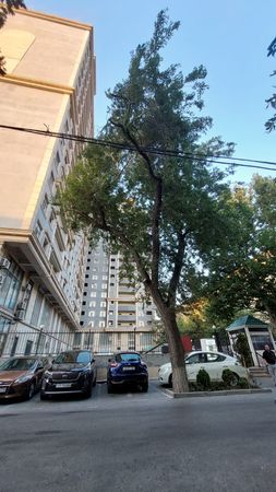 Ofis icarəyə verilir, 35 m², BBinəqədi r, Səttar Bəhlulzadə k, 2 ,4,6,6A, Bakı – Bakı – ucuztap.az
