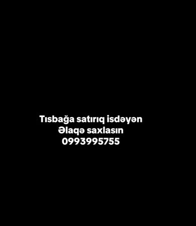 Tısbağalar satılır – Gəncə – ucuztap.az