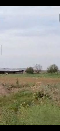 İstehsalat, 10000 m², Saatlı – Saatlı – ucuztap.az