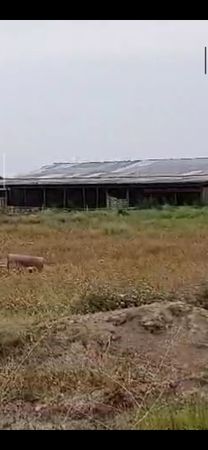 İstehsalat, 100000 m², Suraxanı r., Bakı – Bakı – ucuztap.az