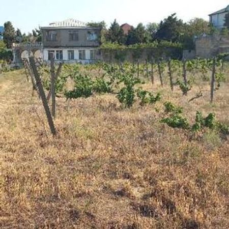 27 Sot torpaq sahəsi, Novxanı qəs. – Torpaq – ucuztap.az