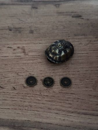 Turtle fidget – Sağlamlıq və gözəllik – ucuztap.az
