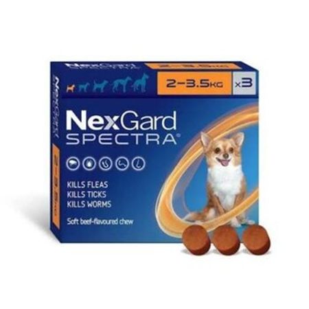 NexGard qurd dərmanı – Xırdalan – ucuztap.az