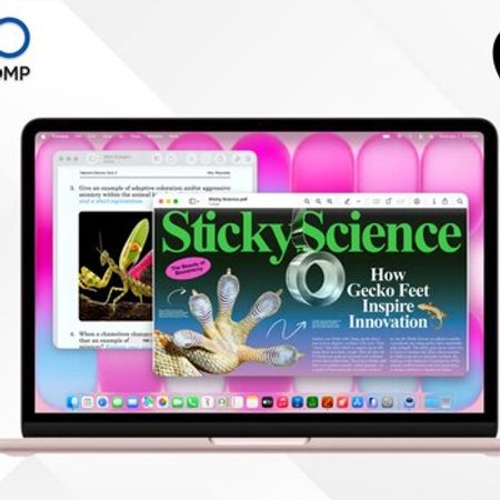 Apple MacBook Neo 13 A18 Pro Blush Z1TU0001Y – Bakı – ucuztap.az
