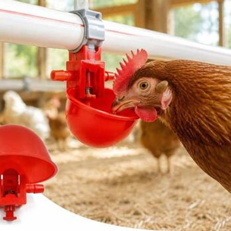Qırmızı nipel boltlu – Bakı – ucuztap.az