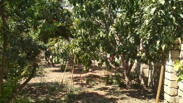 Torpaq sahəsi, 3 sot, Tikinti təyinatlı, Çıxarışlı, xirdalan weh, Xırdalan – Xırdalan – ucuztap.az