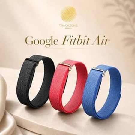 Google Fitbit Air – Bakı – ucuztap.az