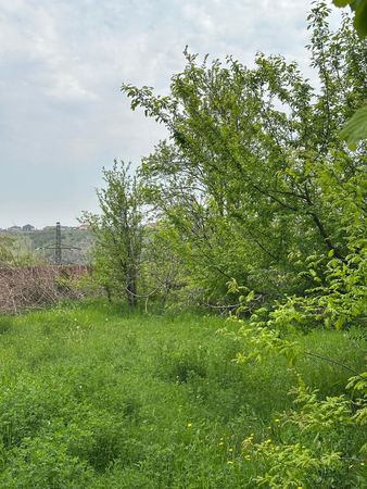 Torpaq sahəsi, 32 sot, Tikinti təyinatlı, Çıxarışlı, Göygöl rayonu, Üçtəpə kəndi, Gəncə – Gəncə – ucuztap.az