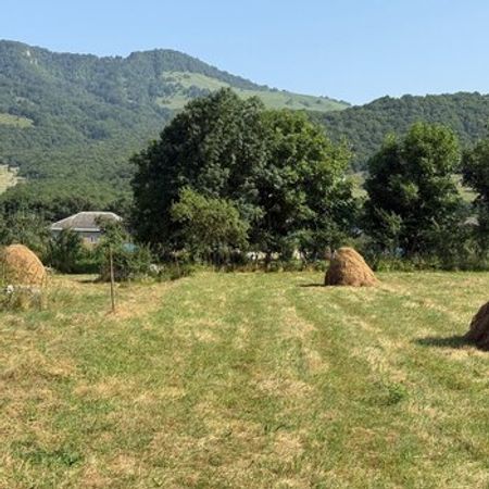 15 Sot torpaq sahəsi, Qusar r. – Satılır – ucuztap.az