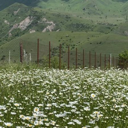 2 Sot torpaq sahəsi, Qusar ş. – Qusar – ucuztap.az