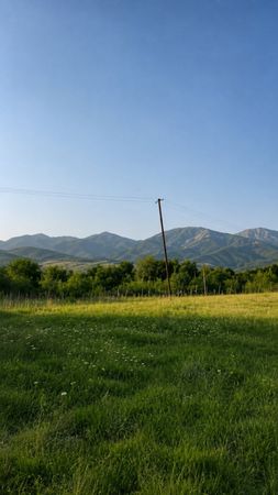 Torpaq sahəsi, 50 sot, Tikinti təyinatlı, Kupçalı, İsmayıllı – Torpaq – ucuztap.az