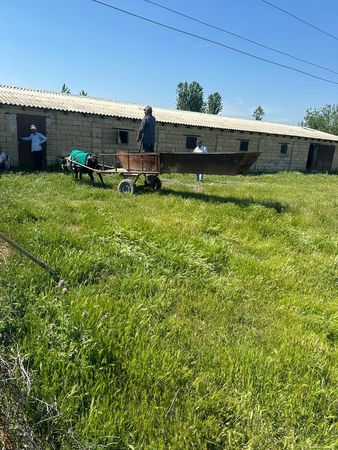 İstehsalat, 235 m², Q.Rüstəmov küç., Sabirabad – Obyektlər və ofislər – Sabirabad – ucuztap.az