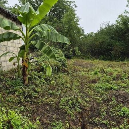 5 Sot torpaq sahəsi, Qusar r. – Torpaq – ucuztap.az
