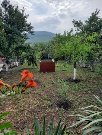 Bağ evi kirayə verilir, 120 m², İ.Hamidov, Şəki – Şəki – ucuztap.az