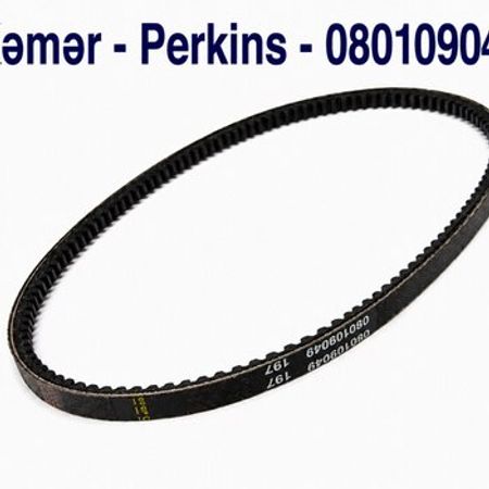 Kəmər - Perkins - 080109049 – Biznes üçün avadanlıq – ucuztap.az