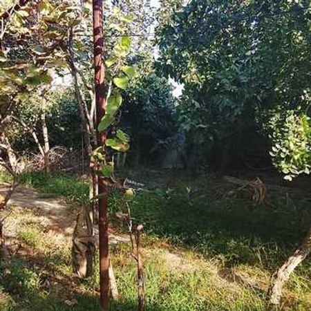 Həyət evi, Maştağa qəs. – Villalar, bağ evləri – ucuztap.az
