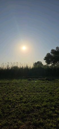 Torpaq sahəsi, 17800 sot, Kənd təsərrüfatı təyinatlı, Kupçalı, Sabirabad – Sabirabad – ucuztap.az