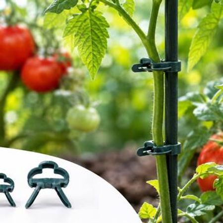 Budaq üçün sancaq (10 balaca+10 böyük) – Bakı – ucuztap.az