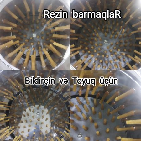 Yumurta latoku – Bakı – ucuztap.az