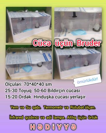 Ömürlük qəfəs – Bakı – ucuztap.az