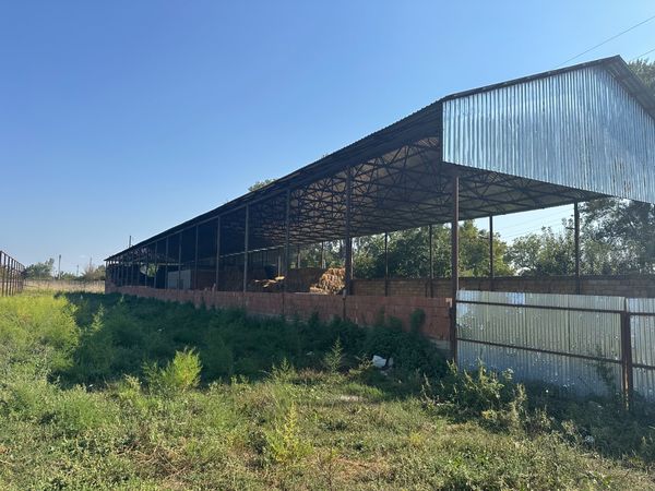 İstehsalat, 1000 m², Oğuz – Oğuz – ucuztap.az