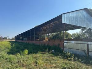 İstehsalat, 1000 m², Oğuz