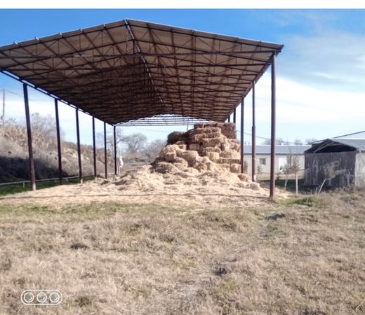 İstehsalat, 1000 m², Yeni Uluxanlı kəndi, Salyan – Satılır – Salyan – ucuztap.az