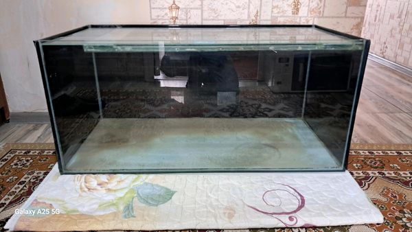Akvarium – Bakı – ucuztap.az